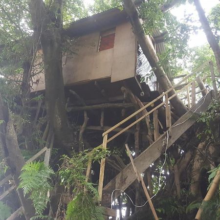 Castle Tree House And Bungalow White Sands Room photo