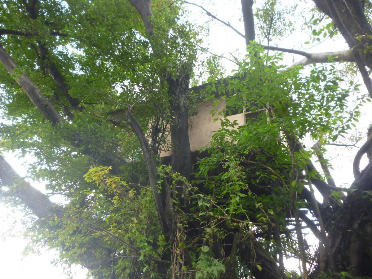Castle Tree House And Bungalow White Sands Exterior photo