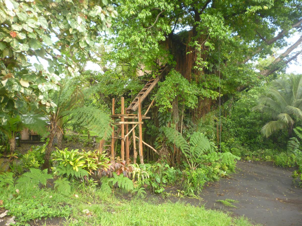 Castle Tree House And Bungalow White Sands Exterior photo