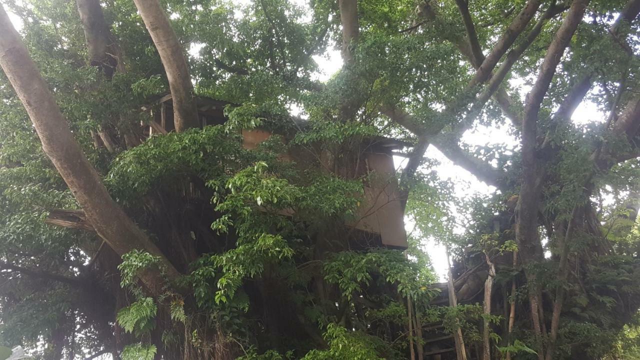 Castle Tree House And Bungalow White Sands Exterior photo